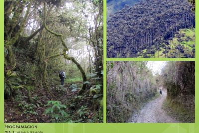Camino Paso del Quindío 2025